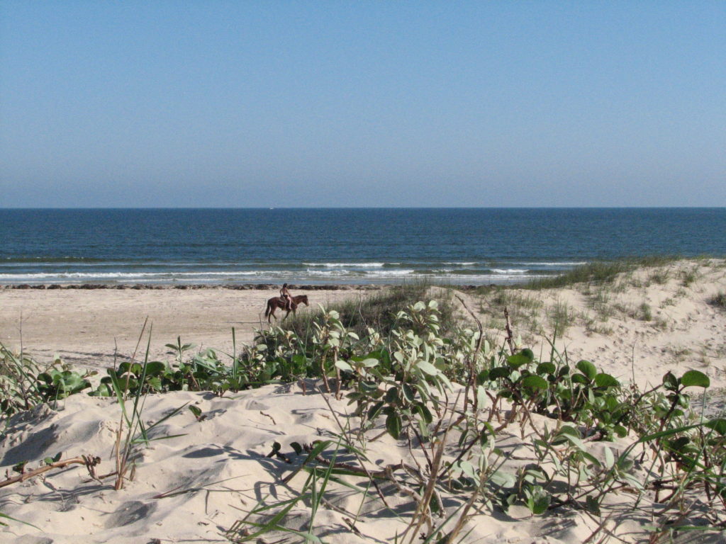 Matagorda Beach Horseback Riding